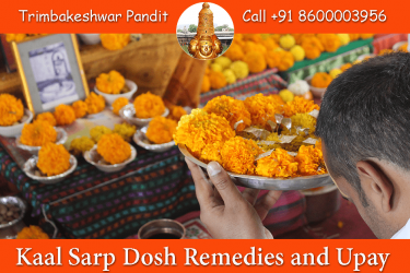 Kaal Sarp Dosh Remedies and Upay