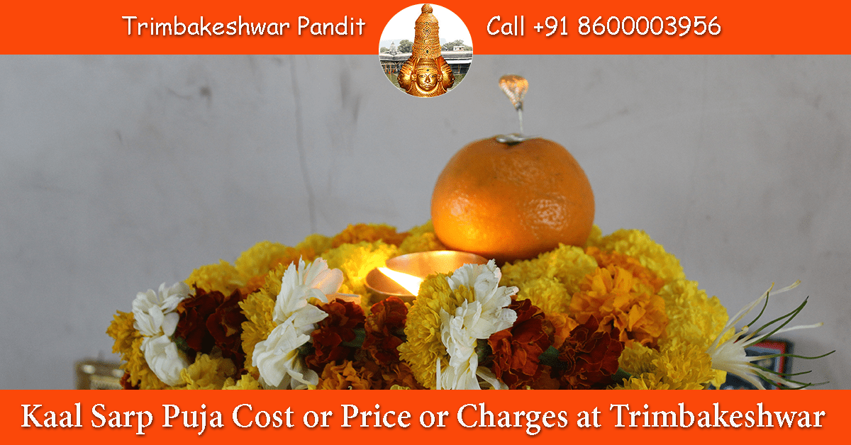 Kaal Sarp Puja Cost or Price or Charges at Trimbakeshwar