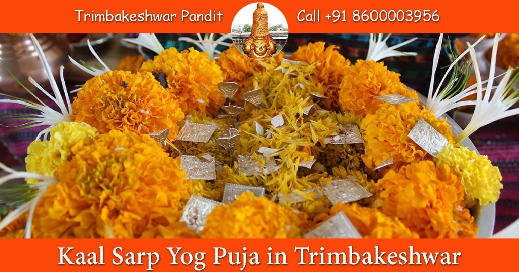 Kaal Sarp Yog Puja in Trimbakeshwar