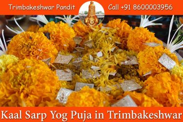 Kaal Sarp Yog Puja Trimbakeshwar