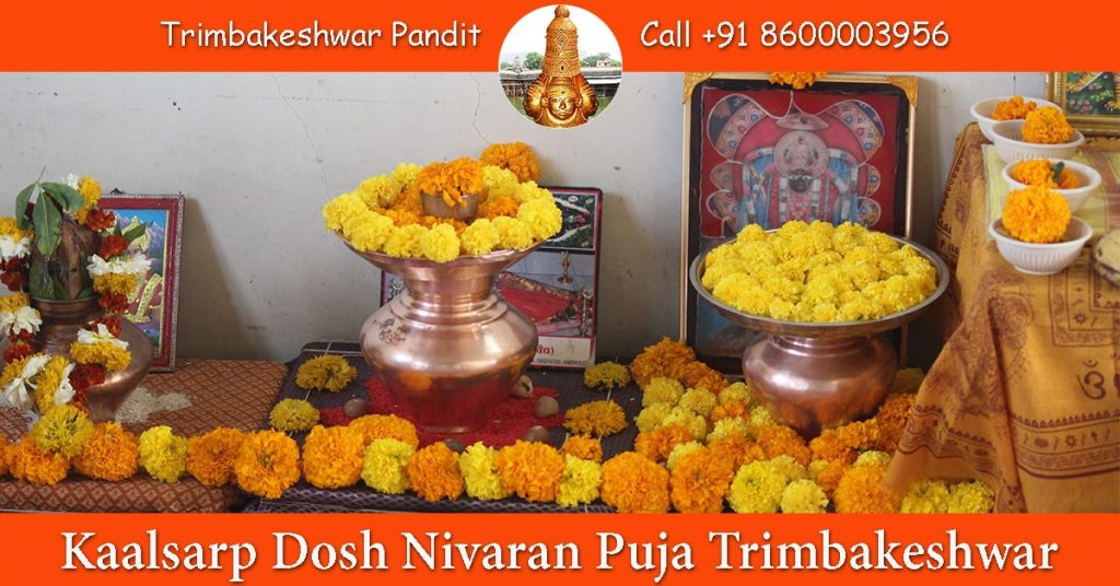 Kaalsarp Dosh Nivaran Puja Trimbakeshwar