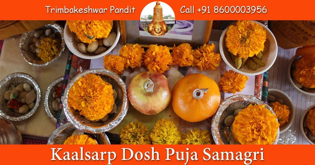 Kaalsarp Dosh Puja Samagri