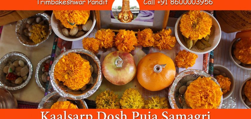 Kaalsarp Dosh Puja Samagri