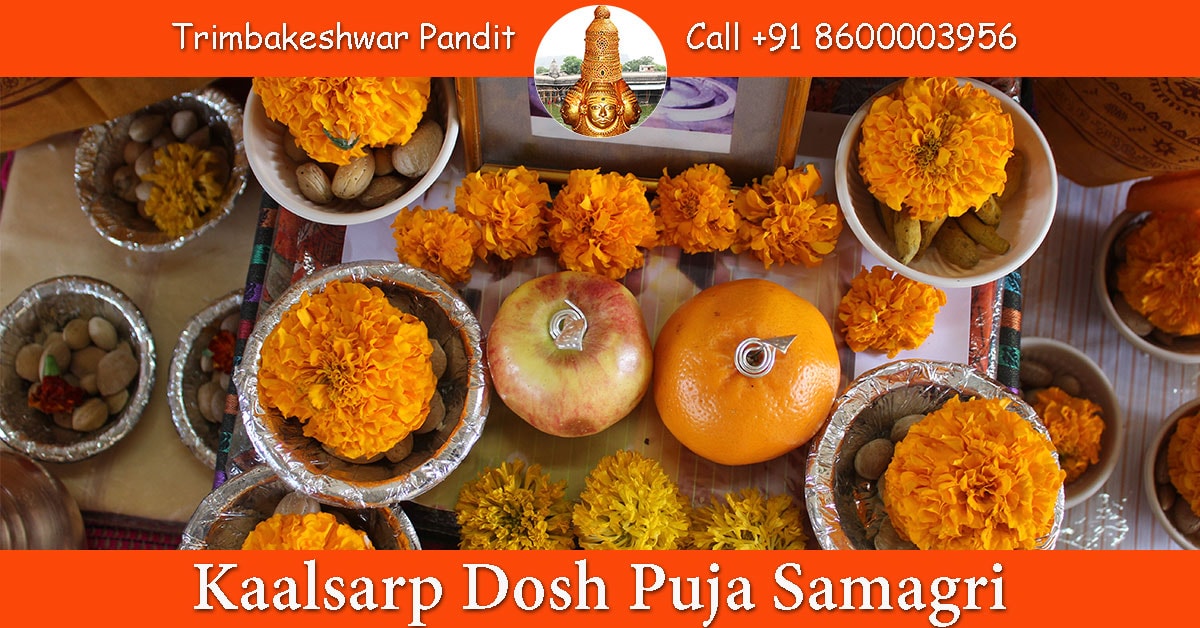 Kaalsarp Dosh Puja Samagri