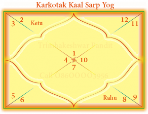 Chart of Karkotak Kaal Sarp Yog