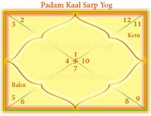 Chart of Padam Kaal Sarp Yog