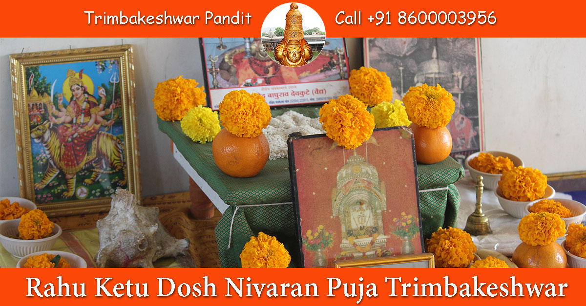 Rahu Ketu Dosh Nivaran Puja Trimbakeshwar