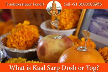 What is Kaal Sarp Dosh or Yog?