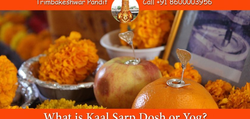 What is Kaal Sarp Dosh or Yog?