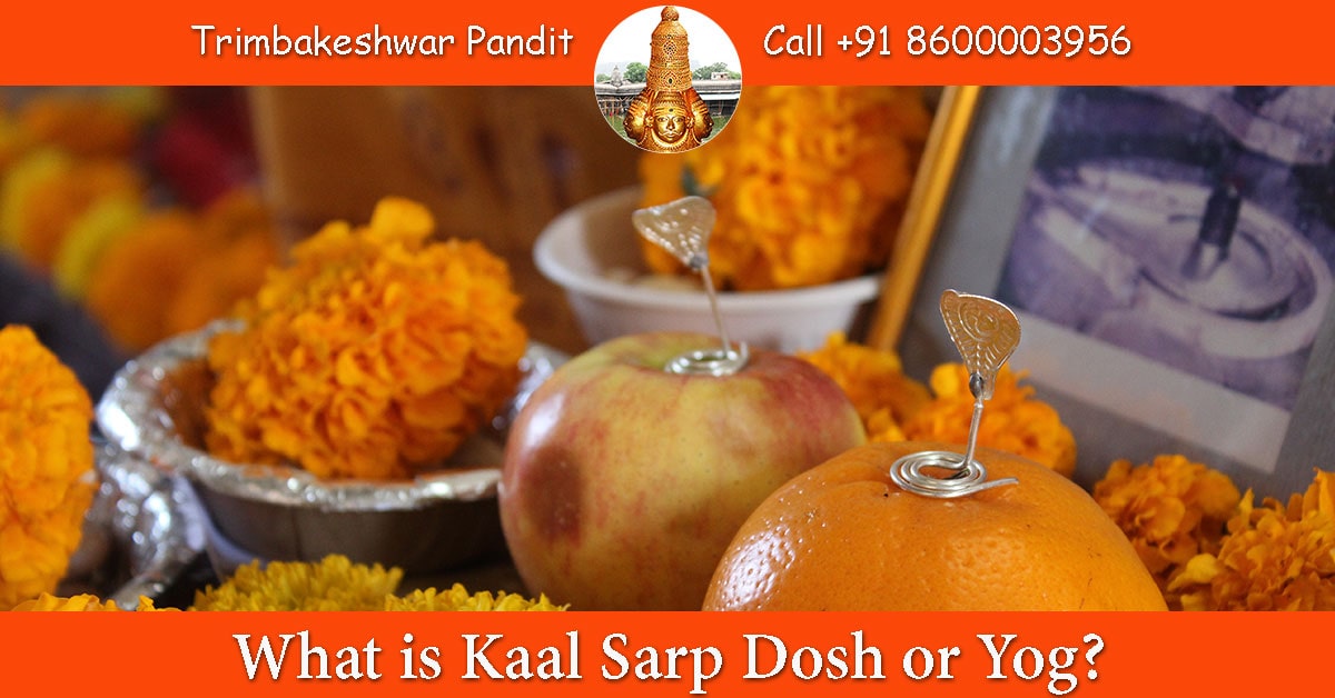 What is Kaal Sarp Dosh or Yog?