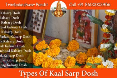 Types of Kaal Sarp Dosh