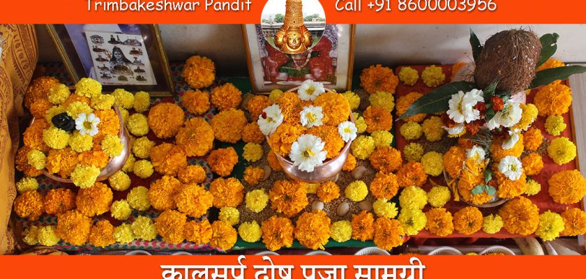 कालसर्प दोष पूजा सामग्री