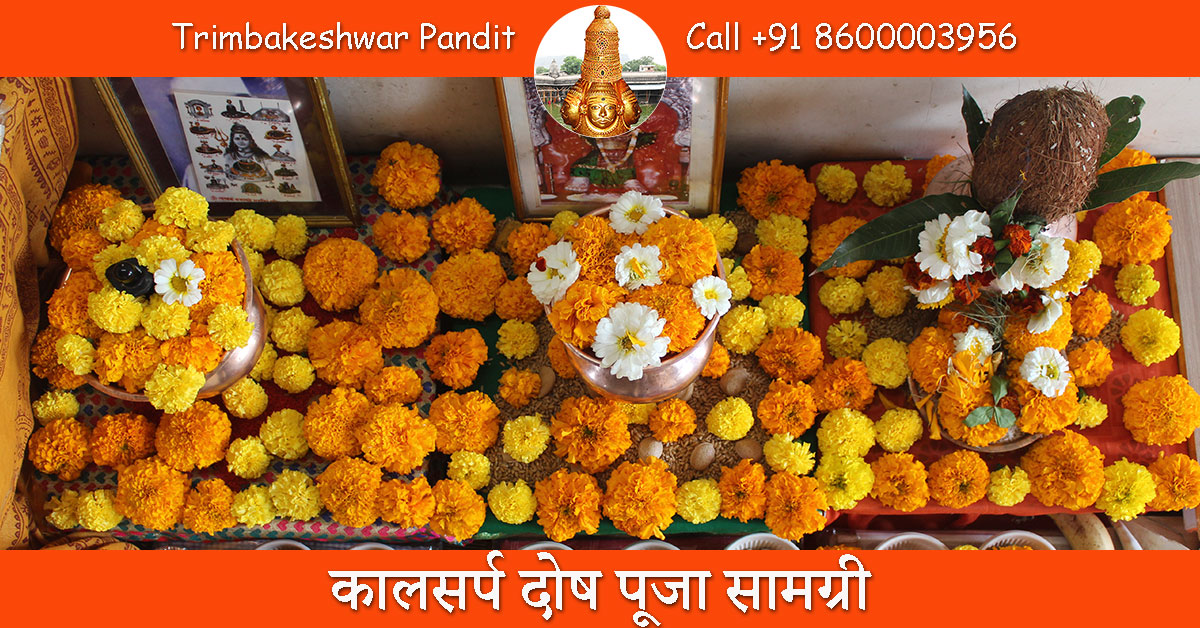 कालसर्प दोष पूजा सामग्री