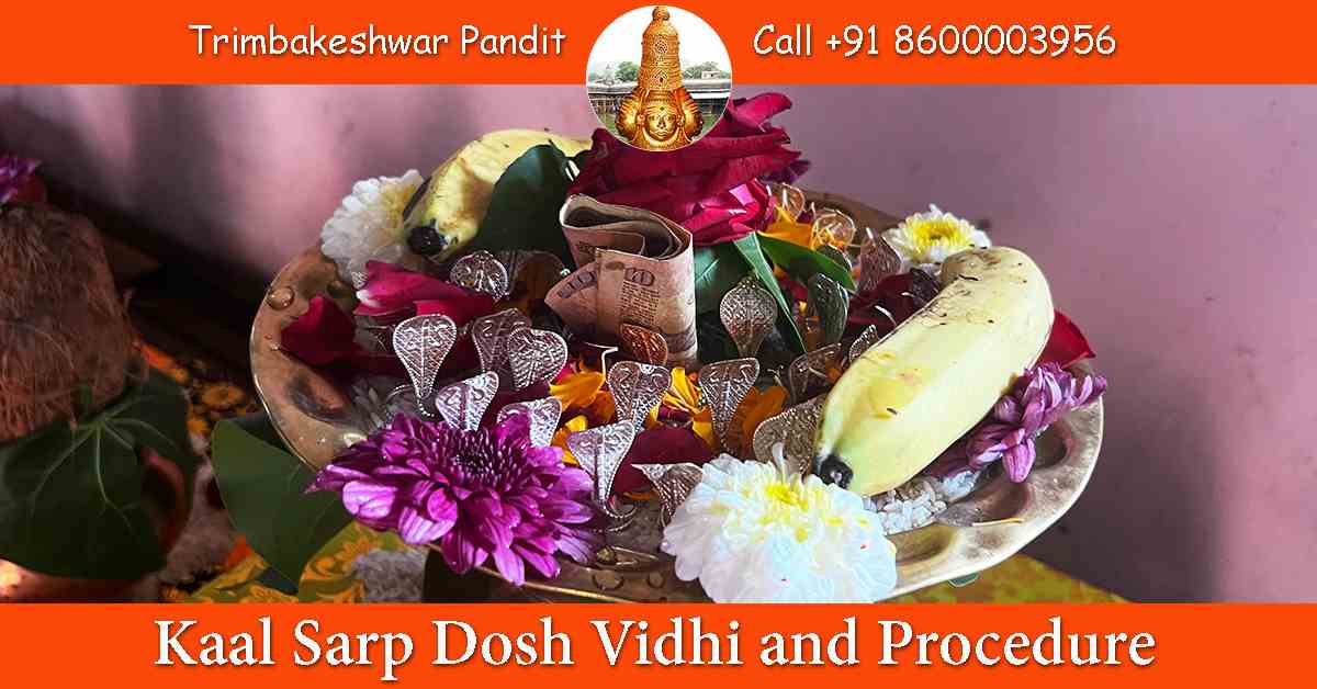 Kaal Sarp Dosh Vidhi and Procedure