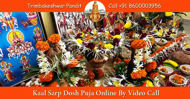 Kaal Sarp Dosh Puja Online By Video Call